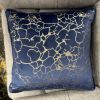 Navy and Gold Cushion
