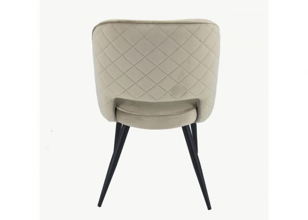 Sutton Mink Velvet Dining Chair by Balmoral Back